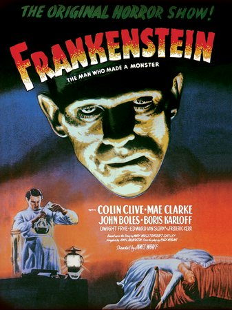 Frankenstein, Colin Clive,Boris Karloff,John Boles,Edward Van Sloan,Dwight Frye,Frederick Kerr,Lionel Belmore,Michael Mark,Marilyn Harris,Arletta Duncan
