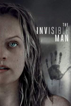 Invisible Man, 