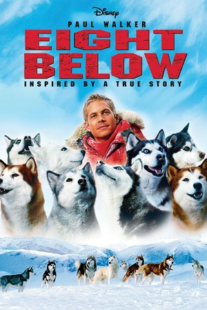 Eight Below, Paul Walker,Bruce Greenwood,Moon Bloodgood,Jason Biggs,Gerard Plunkett,August Schellenberg,Wendy Crewson,Belinda Metz,Connor Christopher Levins,Duncan Fraser