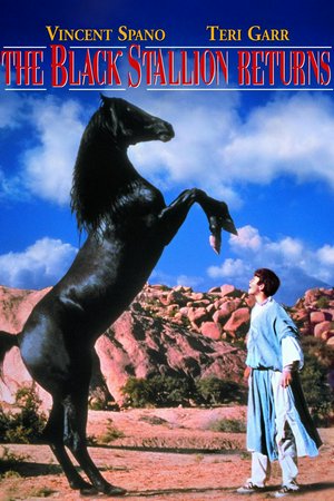 The Black Stallion Returns, Kelly Reno,Vincent Spano,Teri Garr,Allen Garfield,Woody Strode,Ferdy Mayne,Jodi Thelen,Doghmi Larbi,Ferdinand 
