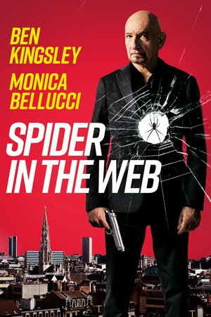 Spider in the Web, Ben Kingsley,Monica Bellucci,Itay Tiran,Itzik Cohen,Filip Peeters,Hilde Van Mieghem,Makram Khoury,Marcel Hensema,Luk Wyns,Stilian Keli