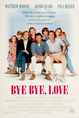 Bye Bye, Love, Matthew Modine,Randy Quaid,Paul Reiser,Janeane Garofalo,Rob Reiner,Amy Brenneman,Eliza Dushku,Ed Flanders,Maria Pitillo,Lindsay Crouse