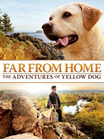Far From Home: The Adventures of Yellow Dog, Mimi Rogers,Bruce Davison,Jesse Bradford,Tom Bower,Joel Palmer,Josh Wanamaker,Margot Finley,Dakotah,Matt Bennett,St. Clair McColl