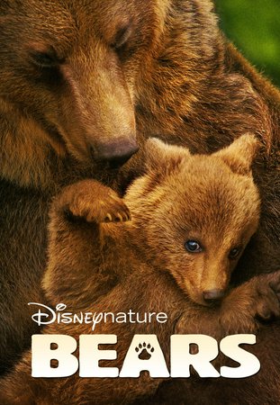 Bears, 