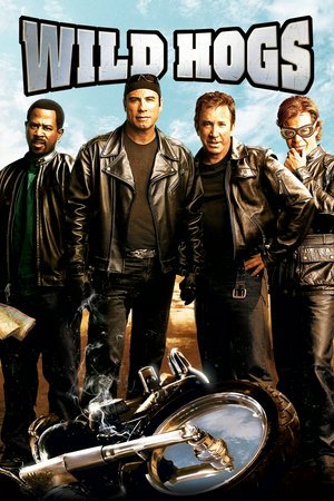 Wild Hogs, Tim Allen,John Travolta,Martin Lawrence,William H. Macy,Ray Liotta,Marisa Tomei,Jill Hennessy,M.C. Gainey,Stephen Tobolowsky,Dominic James