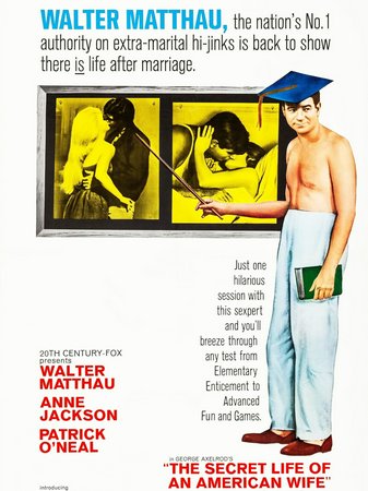 The Secret Life of an American Wife, Walter Matthau,Anne Jackson,Patrick O'Neal,Edy Williams,Richard Bull,Gary Brown,Albert Carrier,Paul Napier,Todd Baron,Christy Hall