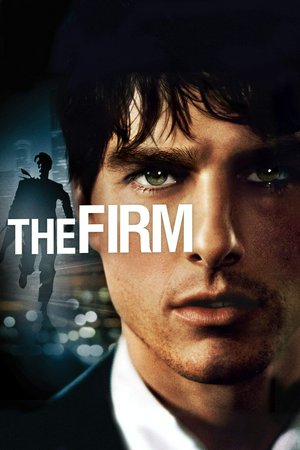The Firm, Tom Cruise,Jeanne Tripplehorn,Gene Hackman,Hal Holbrook,Terry Kinney,Wilford Brimley,David Strathairn,Gary Busey,Tobin Bell,Barbara Garrick