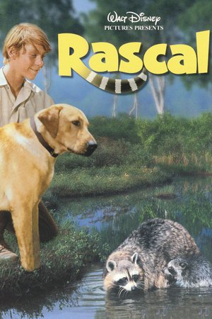Rascal, Bill Mumy,Steve Forrest,Pamela Toll,Elsa Lanchester,Henry Jones,Bettye Ackerman,Jonathan Daly,John Fiedler,Richard Erdman,Herbert Anderson