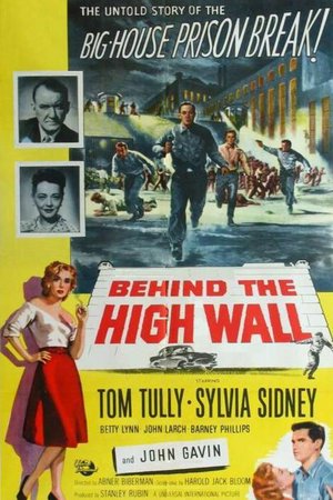Behind the High Wall, Tom Tully,Sylvia Sidney,John Gavin,Betty Lynn,Don Beddoe,John Larch,Barney Phillips,Edward Kemmer,John Beradino,Rayford Barnes