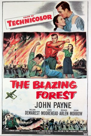 The Blazing Forest, John Payne,Susan Morrow,Agnes Moorehead,Richard Arlen,William Demarest,Roscoe Ates,Lynne Roberts,Ewing Mitchell,Walter Reed,James Davies