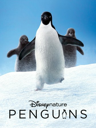 Penguins, 