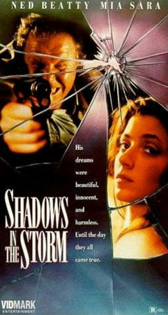 Shadows in the Storm, Ned Beatty,Mia Sara,Michael Madsen,Donna Mitchell,James Widdoes,James Widdoes,Donna Mitchelle,Joe Dorsey,William Bumiller