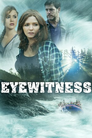 Eyewitness, Brigid Brannagh,Ivan Sergei,Tim Abell,Leah Bateman,Daniel Booko,Perry King,Quinton Flynn,Ted Monte,Tracy Mulholland