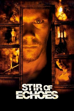 Stir of Echoes, Kevin Bacon,Kathryn Erbe,Illeana Douglas,Liza Weil,Kevin Dunn,Conor O'Farrell,Jennifer Morrison,Zachary David Cope,Lisa Lewis,Eddie Bo Smith Jr.