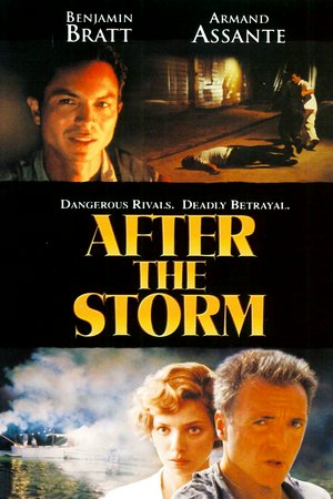After the Storm, Benjamin Bratt,Armand Assante,Jennifer Beals,Mili Avital,Simone-Élise Girard,Arthur Nascarella,Nestor Serrano,Steven Lang,Gustave Johnson,Barbara Andres
