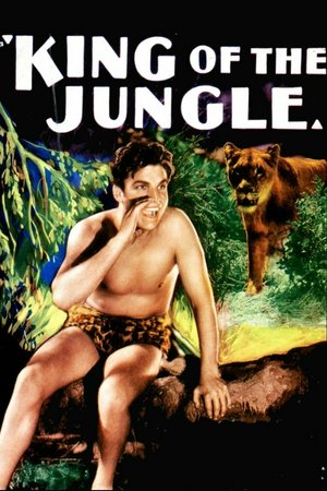 King of the Jungle, Buster Crabbe,Frances Dee,Douglass Dumbrille,Douglas Dumbrille,Robert Adair,Florence Britton,Ronnie Cosbey,Robert Barrat,Sam Baker,Patricia Farley