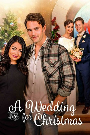 A Wedding for Christmas, Vivica A. Fox,Cristine Prosperi,Colton Little,Curtis McGann,Lesli Kay,William McNamara,Vivica,Cristine,Robert Livingston