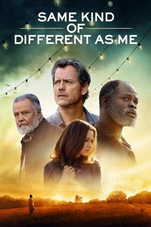 Same Kind of Different as Me, Renée Zellweger,Greg Kinnear,Jon Voight,Djimon Hounsou,Geraldine Singer,Austin Filson,Dana Gourrier,Ann Mahoney,Ty Parker,Olivia Holt