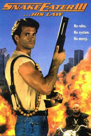 SnakeEater III: His Law, Lorenzo Lamas,Minor Mustain,Scott 'Bam Bam' Bigelow,Tracy Cook,Holly Chester,Chip Chuipka,Tracy Hway,Una Kay,Gordon Atkinson,Walker Boone