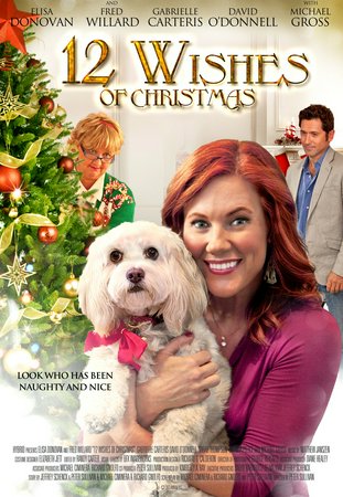 12 Wishes of Christmas, Elisa Donovan,Fred Willard,Michael Gross,Sarah Thompson,David O'Donnell,Richard Gnolfo,Marliss Amiea,Michael Ciminera,Ariana Brown,Gabrielle Carteris