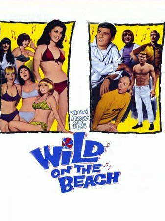 Wild on the Beach, Sonny Bono,Cher,Frankie Randall,Sherry Jackson,Jackie Miller,Gayle Caldwell,Cindy Malone,Sandy Nelson,Russ Bender,Booth Colman