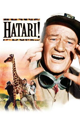 Hatari!, John Wayne,Red Buttons,Elsa Martinelli,Hardy Krüger,Bruce Cabot,Val DeVargas,Eduard Franz,Eric Rungren,Queenie Leonard,Jon Chevron