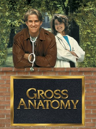 Gross Anatomy, Matthew Modine,Daphne Zuniga,Christine Lahti,Todd Field,John Scott Clough,Alice Carter,Robert Desiderio,Zakes Mokae,J.C. Quinn,Rutanya Alda