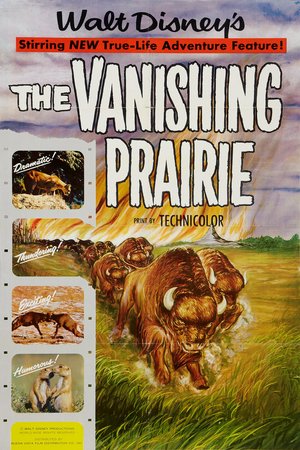 The Vanishing Prairie, Winston Hibler