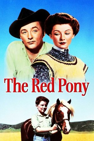 The Red Pony, Myrna Loy,Robert Mitchum,Louis Calhern,Peter Miles,Shepperd Strudwick,Margaret Hamilton,Patty King,Jackie Jackson,Beau Bridges,Nino Tempo
