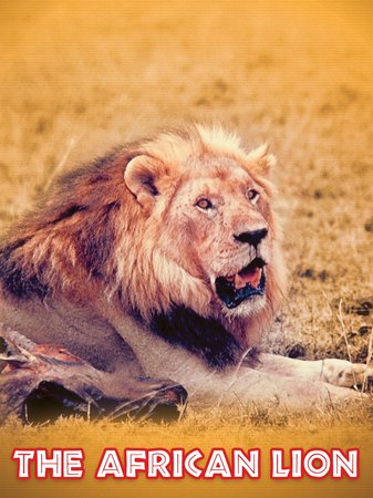 The African Lion, Winston Hibler