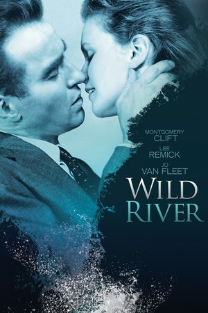 Wild River, Montgomery Clift,Lee Remick,Jo Van Fleet,Jay C. Flippen,Albert Salmi,James Westerfield,Big Jeff Bess,Robert Earl Jones,Frank Overton,Barbara Loden