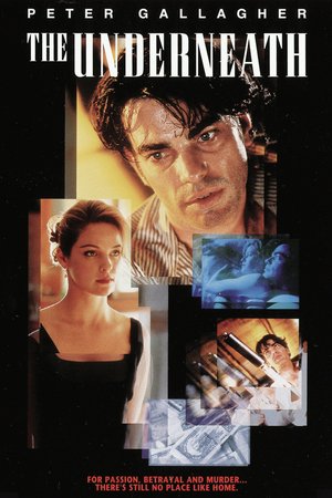 The Underneath, Peter Gallagher,Alison Elliott,William Fichtner,Adam Trese,Joe Don Baker,Paul Dooley,Elisabeth Shue,Anjanette Comer,Dennis Hill,Harry Goaz