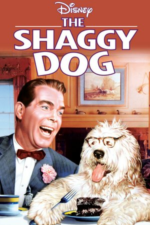 The Shaggy Dog, Fred MacMurray,Tommy Kirk,Jean Hagen,Annette Funicello,Tim Considine,Kevin Corcoran,Cecil Kellaway,Alexander Scourby,Roberta Shore,James Westerfield