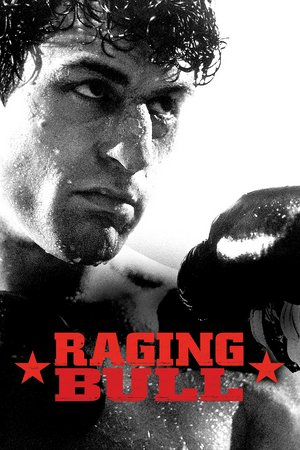 Raging Bull, Robert De Niro,Cathy Moriarty,Joe Pesci,Frank Vincent,Nicholas Colasanto,Theresa Saldana,Frank Adonis,Mario Gallo,Lori Anne Flax,Frank Topham